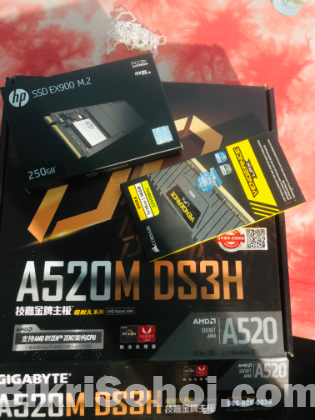 Ryzen 5 5600G Corsair DDR 4 16gb ram
